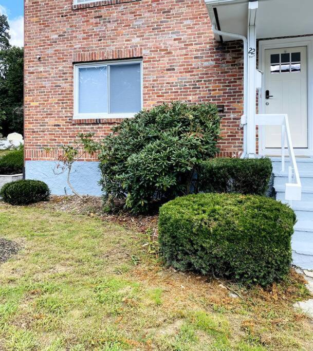 Cozy Boston Getaway Apartment! Free Parking Bagian luar foto